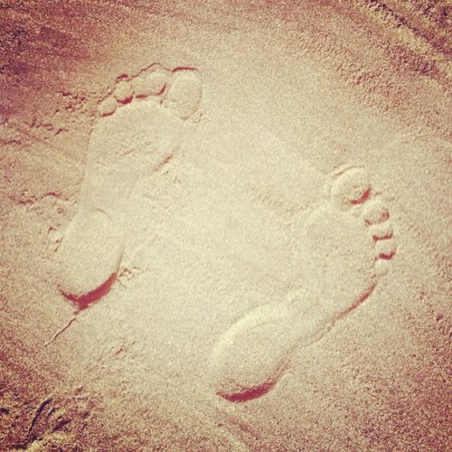 dianedearth's profile picture. 