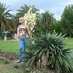 LinetteWestmoreland (@linettewestmore) Twitter profile photo
