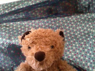 haroldarchie's profile picture. Am here to raise a smile and lend a furry ear. Please give me a follow :)