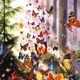 rjstearns's profile picture. 