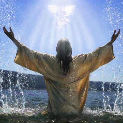 agis_pav's profile picture. 