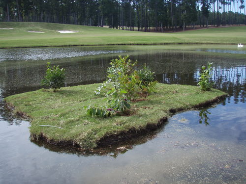 Floating Islands improve water quality in stormwater  and wastewater applications. Habitat for wildlife and fish and beautification of waterways!