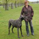 Tracie Webb - @TracieWebb11 - Twitter