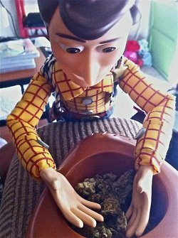 Buenoshumos420's profile picture. 