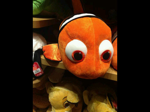 parkjuho0305's profile picture. Merde, ca m'eneerve  첼로요정