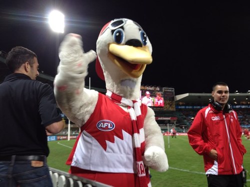 SamHodge99's profile picture. 