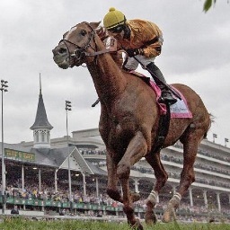 2012 & 2013 Horse of The Year, Older Male Horse of The Year & Turf Horse of The Year. 2012 & 2013 Breeder's Cup Winner. Trained by Charlie Lopresti. Morton Fink