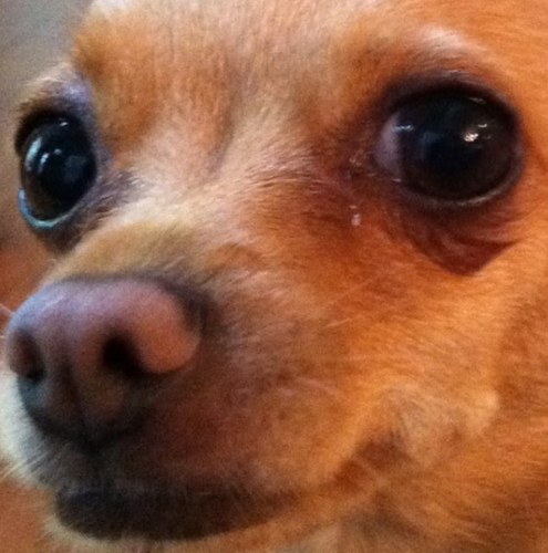 daniel_wes's profile picture. conservative, christian, father of three, husband of one, coach, firefighter, fenceman, and whatever else they call me!