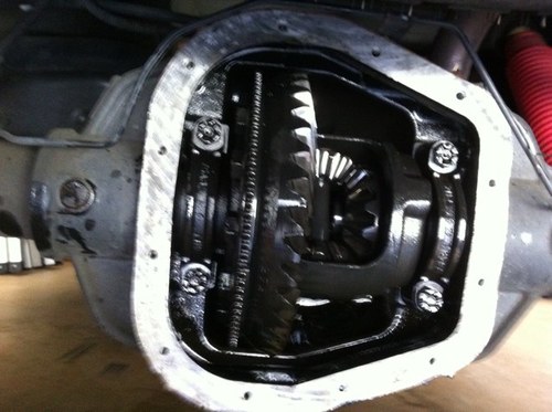 will_lickitt's profile picture. I'm really an awful person, once you get to know me. Equal parts Burberry Brit, Macallan, and engine oil. Trying everything twice. 21+ only.