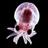 _Cephalopod's profile image