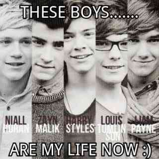 This Is A One Direction Fan Page. For The Boys && The One And Only Directioners..... Follow!! :)