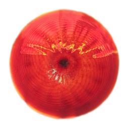 ArtisansCrnerNH's profile picture. Showcasing American artists and craftsmen. Wide range of price ranges, all medium. Free gift boxes.