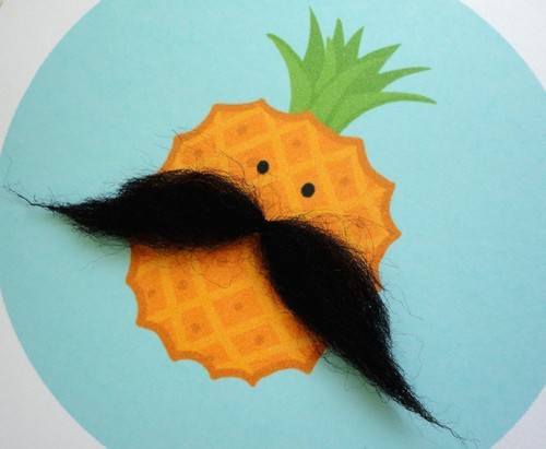 Trying to make- pineapplewithamoustach a day!!xx