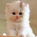 Anwar hayat - @ahayatrj - Twitter