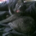 Jasper Clark - @Jasper_Junkie - Twitter