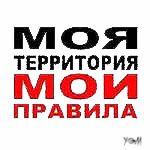 viktor_st_21627's profile picture. 