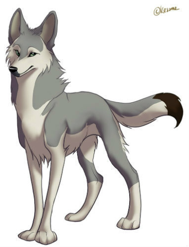 I am always running from the humans that hunt me. I am hunted because I defended the innocent. Will you help me? Or turn me in to the hunters?