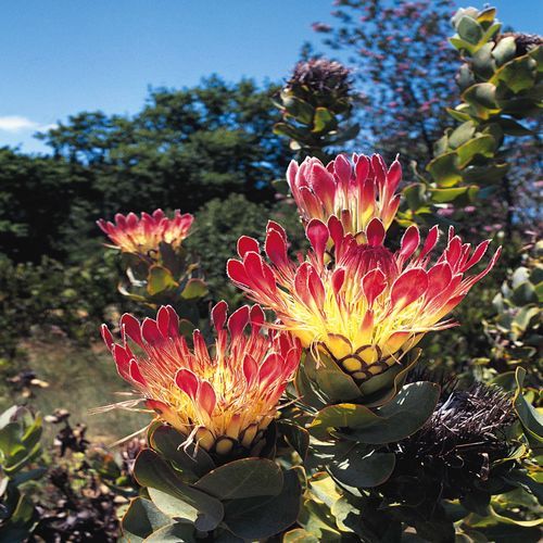 MarthaW01's profile picture. Insurance brokerMarkeWilliam Welketing guru loves music