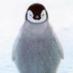penguin (@marzisav) Twitter profile photo