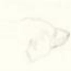 ryas Profile
