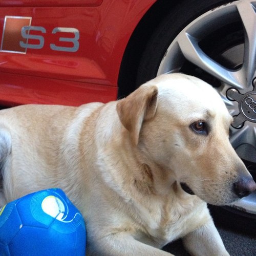 URambarran's profile picture. 