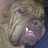 Andrew7Cooper's profile image
