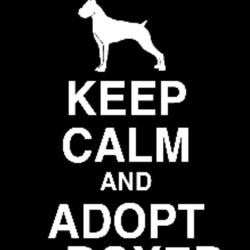 J_nette_schitl's profile picture. 