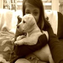 Jae Hahn - @jaekrq - Twitter