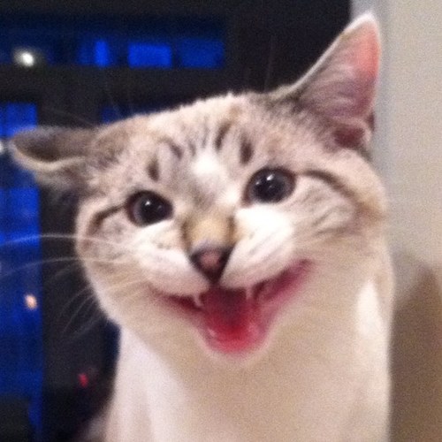 KenseyLacy's profile picture. 