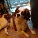 Michelle Brazier - @shelbyw88 - Twitter