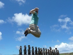 I teach biology and environmental systems and society.