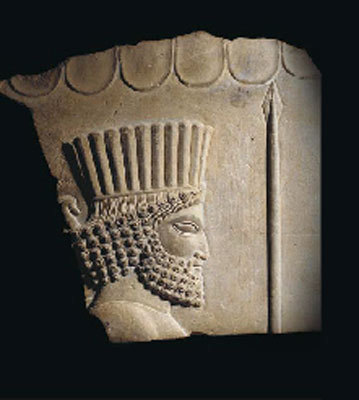 Persian1010's profile picture. Immunologist. Tweets are my opinion only.