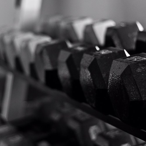 Everyday lifter i follow back! #getbig joined the #fitfam may 5th 2013