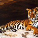 Angie Larson - @AngieLarson03 - Twitter