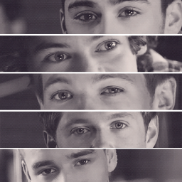 Niall Horan, Liam Payne, Zayn Malik, Louis Tomlinson et Harry Styles...ma vie :)