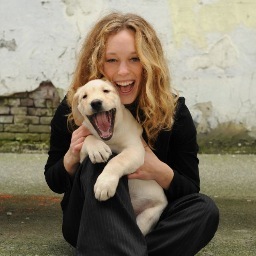 Arabian Dog Training