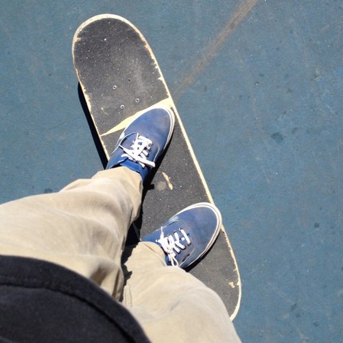 canneddolphin's profile picture. 