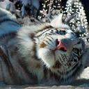 kerry finney - @kayjayte - Twitter