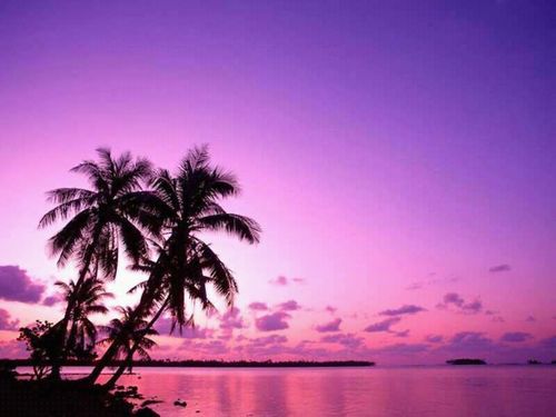 . سبحان وبحمده ، عدد خلقه ، ورضا نفسه ، وزنة عرشه ، ومداد كلماته