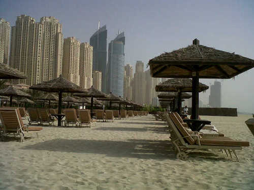 mhvarachia's profile picture. 