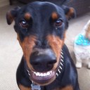 Doug Lynch - @83Boilermaker - Twitter