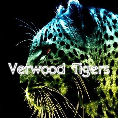 2nd verwood explorers are a bunch if young active people aged 14-18 year olds taking part in scouting activites around east dorset.