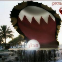 Wafaa3li's profile picture. Life is a challenge meet it-
Life is a gift accept it-
Life is a sorrow over come it-
Life is a tragedy face it-
Life is a mystery unfold it