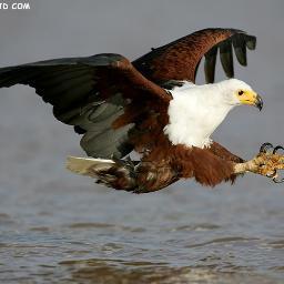 abdulk958's profile picture. 