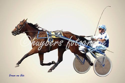 Stal_ut_grou's profile picture. Stal ût Grou (voorheen Stal Unia), fokker van o.a. Bertille va Unia en Cornelia Unia