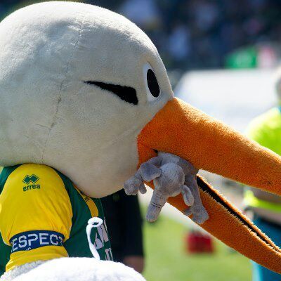 Storky! De mascotte van ADO Den Haag, een kindervriend, een ooievaar! 💛💚