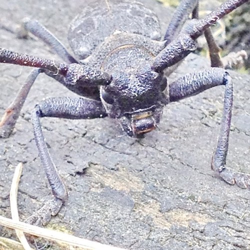 maliman861's profile picture. 