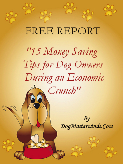 dogmasterminds's profile picture. FREE REPORT Money Saving Tips for Dog   Owners during an Economic  Crunch