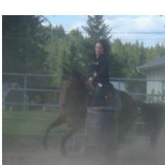 CassidyFoyston's profile picture. If you don't know already how country feels, I will probably have nothing to do with you, Not even sorry. #teamcamo