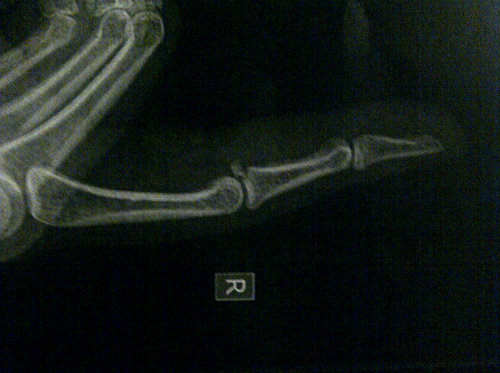 Know it all bionic woman.
she/her.